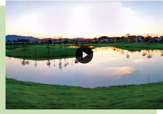 绿化混凝土,植被混凝土,植生混凝土,透水混凝土, 彩色混凝土,生态混凝土添加剂