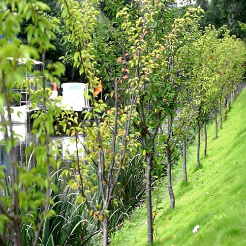 绿化混凝土,植被混凝土,植生混凝土,透水混凝土, 彩色混凝土,生态混凝土添加剂-生态性好