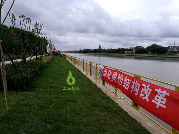 绿化混凝土,植被混凝土,植生混凝土,透水混凝土, 彩色混凝土,生态混凝土添加剂-上海崇明环岛运河