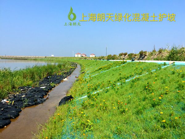 绿化混凝土,植被混凝土,植生混凝土,透水混凝土, 彩色混凝土,生态混凝土添加剂-吹填工程边坡  海堤 江堤