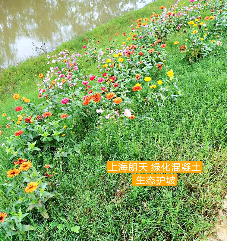 绿化混凝土,植被混凝土,植生混凝土,透水混凝土, 彩色混凝土,生态混凝土添加剂-长江大保护流域治理绿化混凝土护坡