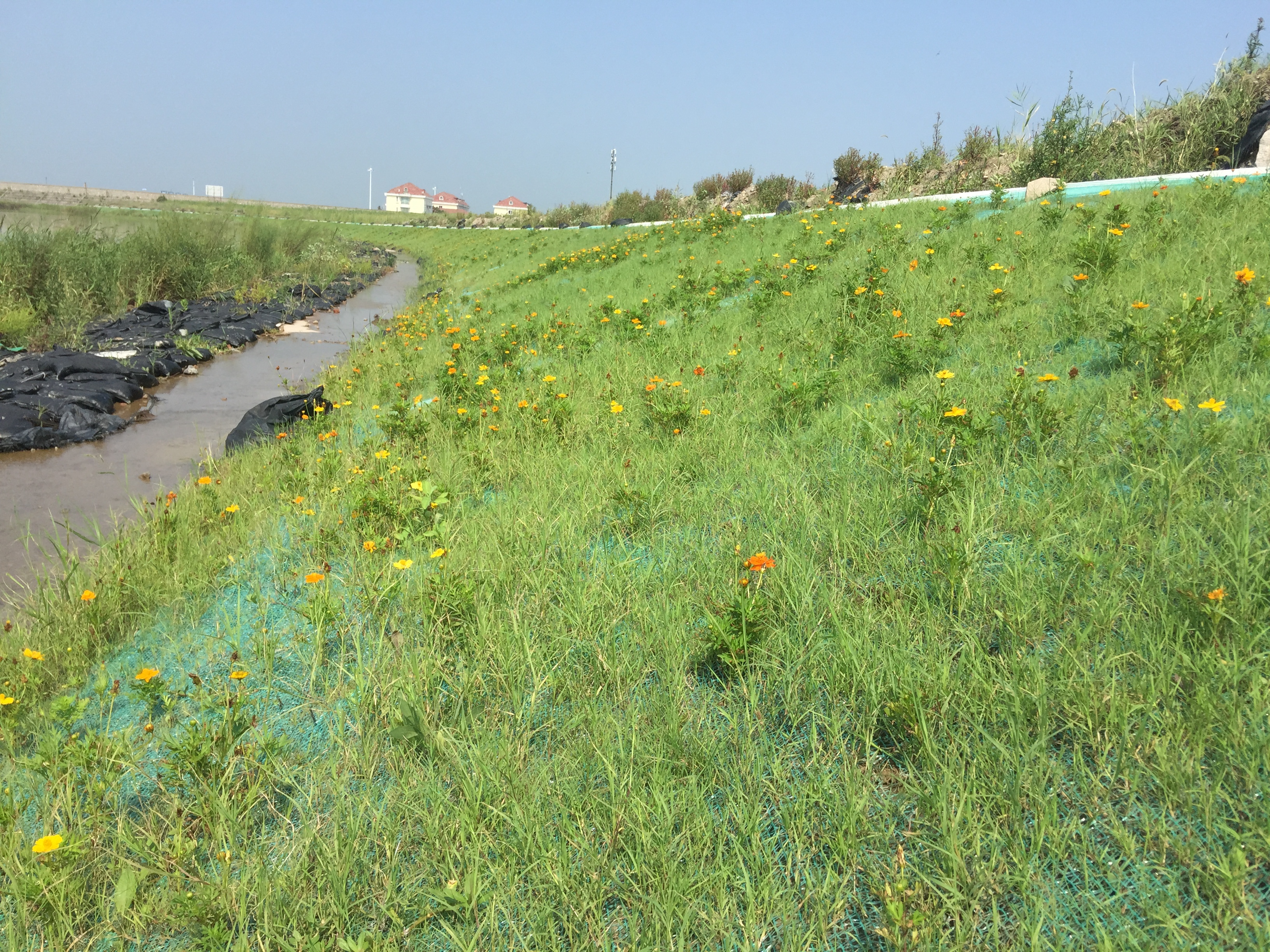 绿化混凝土,植被混凝土,植生混凝土,透水混凝土, 彩色混凝土,生态混凝土添加剂-免养护