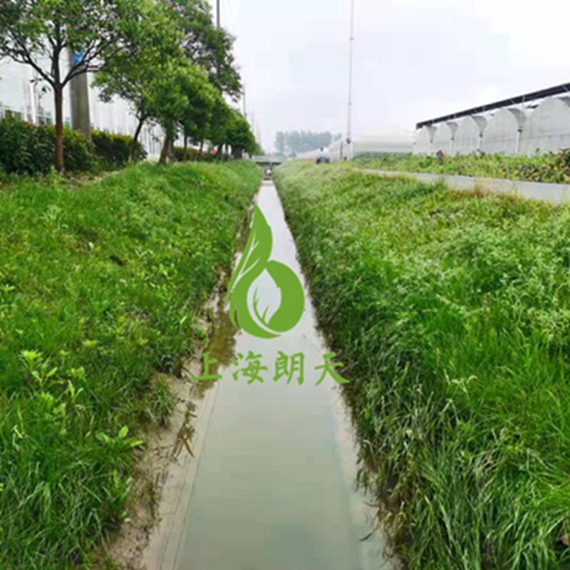 绿化混凝土,植被混凝土,植生混凝土,透水混凝土, 彩色混凝土,生态混凝土添加剂-现代农业产业园—绿化混凝土灌溉渠